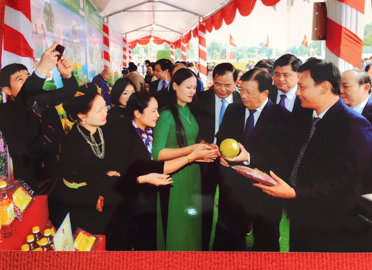 Phó Thủ tướng Trịnh Đình Dũng tham quan gian hàng của tỉnh Yên Bái